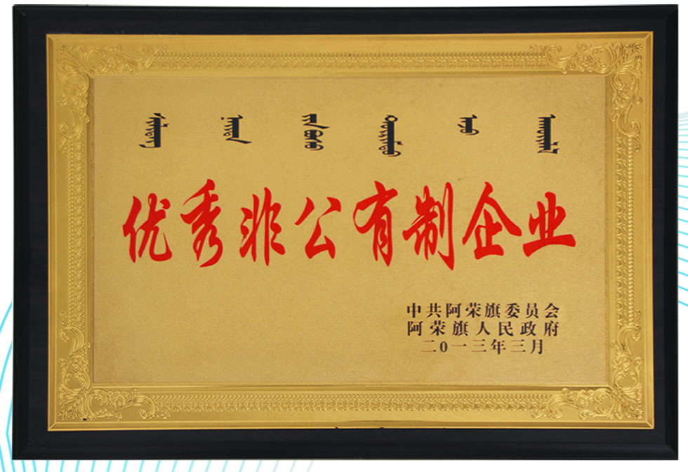 優(yōu)秀非公有制企業(yè)