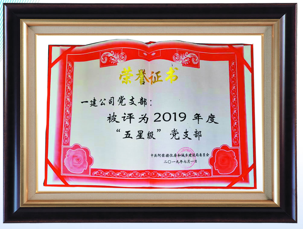 被評為2019年度”五星級“黨支部